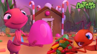 Candy House Surprise 🍭🍫 | Antiks 🐜 | Funny Cartoons for Kids