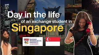 Studying Abroad at NTU Singapore | Summer Vlog 🇸🇬☀️🌴