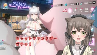 キャットファンタジー！ガチャ70連の結果…