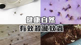 【 Mcube 電子捕蚊機 】｜韓國連線 ｜ SHE GOES TO SEOUL