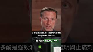 特級初榨橄欖油與酪梨油，哪一種更好？,自然療法,柏格醫生 Dr Berg
