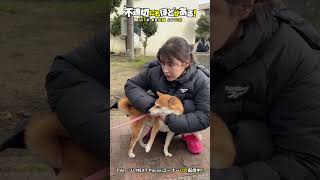 🐶ワンコに毎日会いたい #仲里依紗 さん🐶 #不適切にもほどがある！#ふてほど