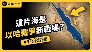 貨輪遭擊沈、美軍為「護航」疲於奔命...紅海危機持續升溫，會導致什麼結果？｜志祺七七