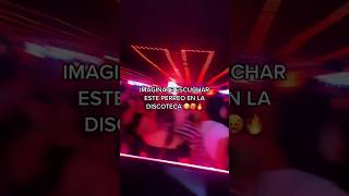 PA’ RECORDAR VIEJOS TIEMPOS CON UN FLOW NUEVO, AFROTON!!! 🥵🔥
