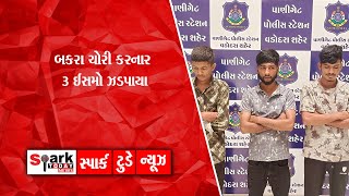 બકરા ચોરી કરનાર 3 ઈસમો ઝડપાયા 2025 | Spark Today News Vadodara