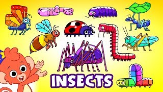Learn Insects and Bugs for kids | Animals for kids | Club Baboo