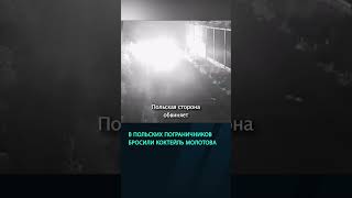 Мигранты бросили коктейль Молотова в польских пограничников  #беларусь #новости #граница