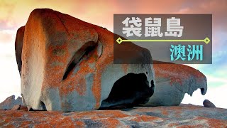 澳洲袋鼠島景點｜海豹灣保護公園、Remarkable Rock神奇岩石、Admirals Arch、Vivonne Bay #澳洲 #袋鼠島