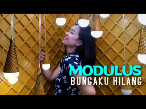 Modulus - Bungaku Hilang | KARAOKE