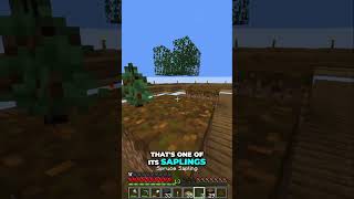 Minecraft: Island Rebuild - From Tree Origin to Building Path!