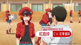 friDay影音｜日本強檔動畫《工作細胞》清水茜榮獲少年Sirius新人獎大獎，人氣連載「細胞擬人化漫畫」！