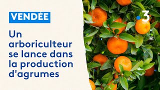 Marc s'est reconverti dans l'arboriculture, il se lance dans la production d'agrumes en Vendée