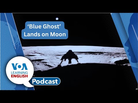 Bald Eagle, Blue Ghost, Knitting at Movies, Feedback