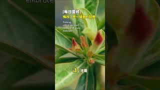 悔改，是一场爱的回应