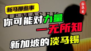 “天时地利人和”具一身的新加坡淡马锡，成功是时代必然的产物丨你对力量一无所知