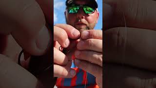 How to rig a Shaky head for bass!