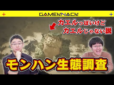 【攻撃厳禁】モンハンの敵モンスターを生物学的に観察してみた【モンスターハンターワイルズ】