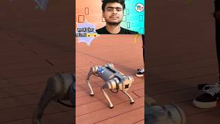 robotic dog 🐶 #viraldog #robot #youtobeshortvideo #music #trending