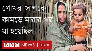 এক বছরের শিশু বিষধর সাপকে কামড়ে মারার পর কী হয়েছিল? BBC Bangla