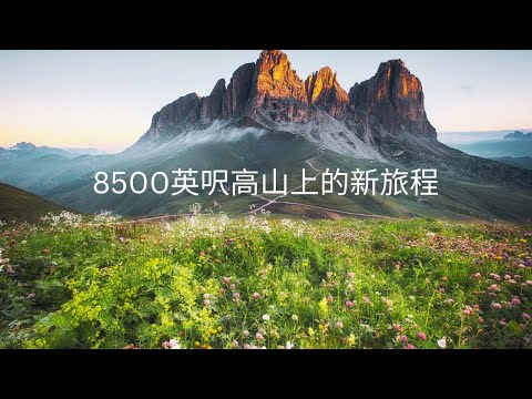 我做了一個改變人生的決定：￼如何面對人生中的快速轉變、走出新方向
