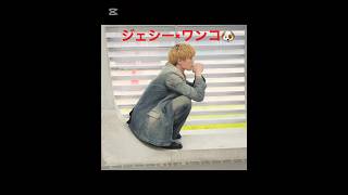 似てるワンコ集めてみた（末ズおまけ）可愛い🥹 #ジェシー #sixtones #森本慎太郎#末ズ