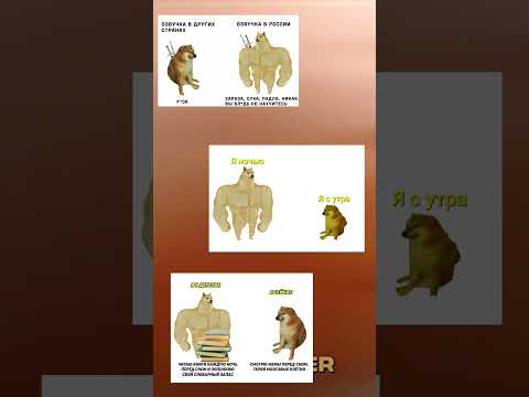 Подборка мемов с догги #1 #трек #metamorphosis