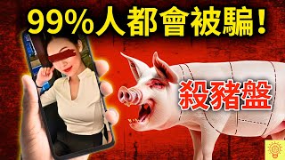 這就是殺豬盤：她被騙光160萬，就因他一句話！這話術太狠，99%人都會被騙！