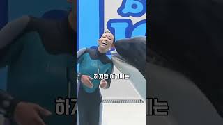 동물쇼가 위험한 진짜 이유! 사람들이 몰랐던 충격적인 사실