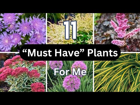 Plant Haul | Perennials I HAD To Have 😊🌸