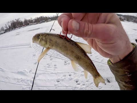 Ice Fishing Big Bait Pike And Bass!