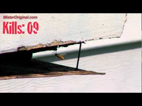 How to Kill Yellow Jacket Wasp Nests with Organic Methods: Airsoft