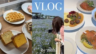 [Vlog] A fulfilling holiday for a Japanese office worker 4 days 💠 / Cafe tour / IKEA / Home cafe