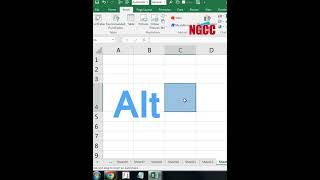 Excel Tips:Fitting Images into Cells Made Easy#newexcel #spreadsheet #ngccsoftwaretechnologies