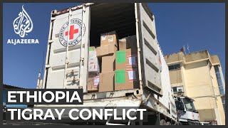 Ethiopia: First foreign aid convoy enters Mekelle, says ICRC