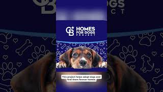 Homes for Dogs Project! https://cb.today/socal/2024/dogs#dogs #HomesForDogs #cbrealty