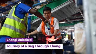 Changi Unlocked: What Happens to Your Bag After Check-In?