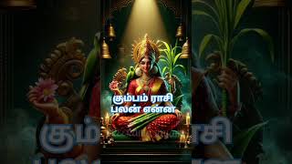 கும்பம் ராசி பலன் என்ன #suntvseriyalpromo #viralvideo #aanmeegam#ராசிபலன்2025 #tamil #astrology#rasi