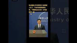 中共外交部林剑被丹麦记者问的无言以对