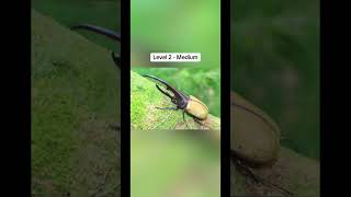 Entomophobia Test ⚠️🪳🐞 #fyp #entomophobia #insects #fear #scary #testing #tiktok #shorts #video