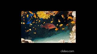 Egypt Easter Tours to Jerusalem, Sharm El Sheikh and Cairo
