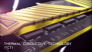 XPG by ADATA – All Gaming – All Pro – Inside and Out