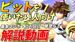 初心者向けファイター！ピットを使い始めたい人向けの使い方マニュアル【スマブラSP】