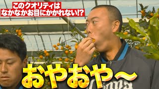【おやおや〜】モノマネのクオリティ…『ぶらり途中獅子の旅』
