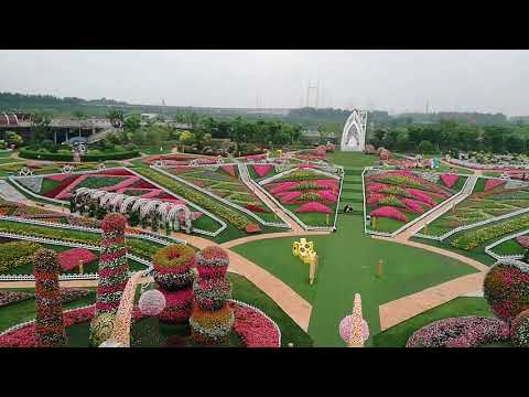 Shanghai Miracle Garden