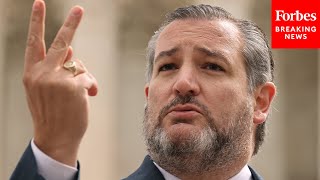 Ted Cruz Says Laws Are Getting "Broader And Broader", Defends 2nd Amendment Rights For Protection