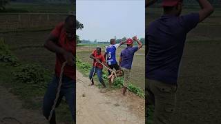 To tie a rope to the leg10