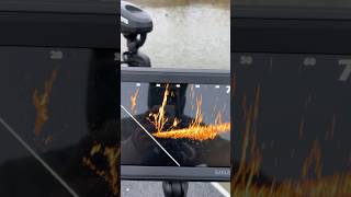 Here’s a look at the New lowrance eagle eye 9 live. #lowrance #crappiefishing