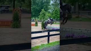ideal horse show mindset || #ride #horse #horseriding #equestrian #equine #horserider #riding #eq