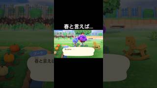 【あつ森】春と言えば...#shorts