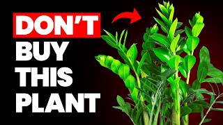 10 "Beginner Friendly" Plants You Should AVOID